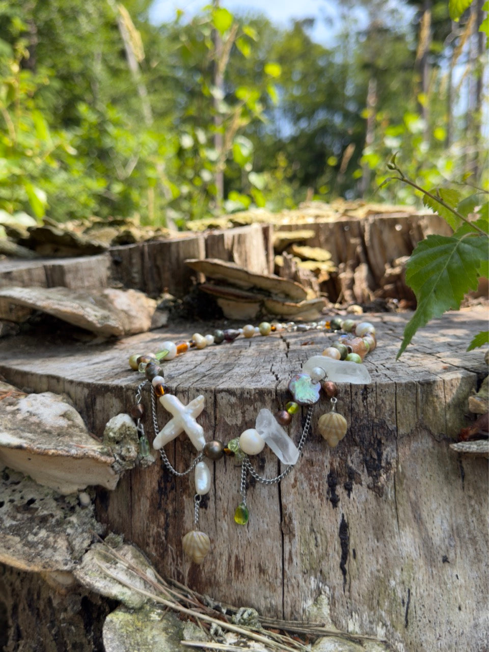 Bug Collector